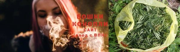 сатива Михайловка