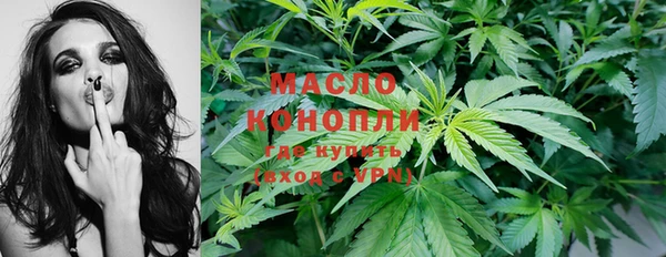 сатива Михайловка