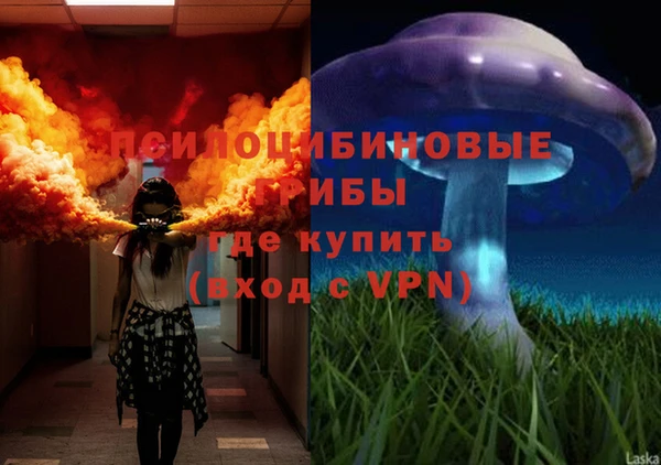 сатива Михайловка